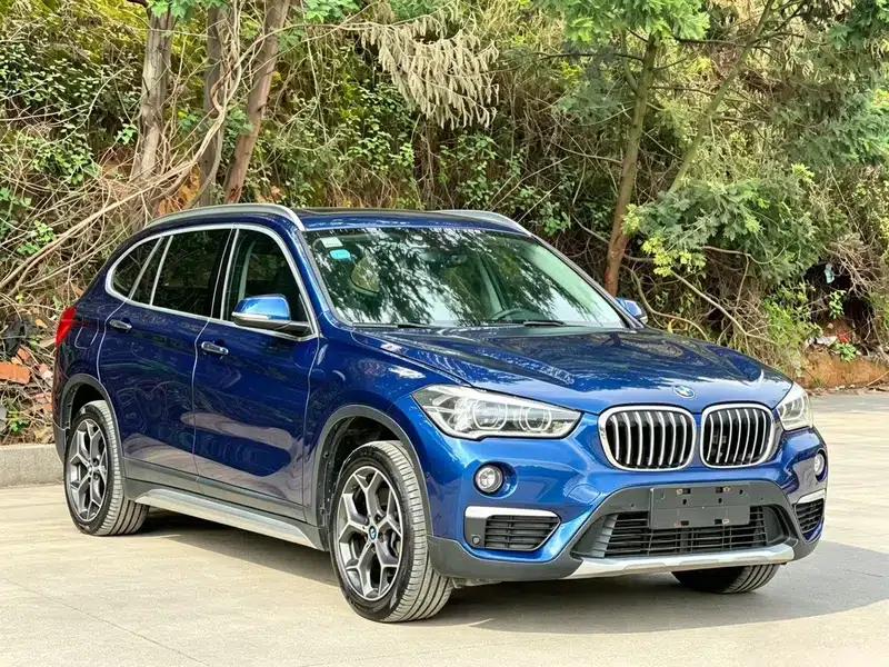 BMW X1 2018 xDrive20Li Luxury — миниатюра 3