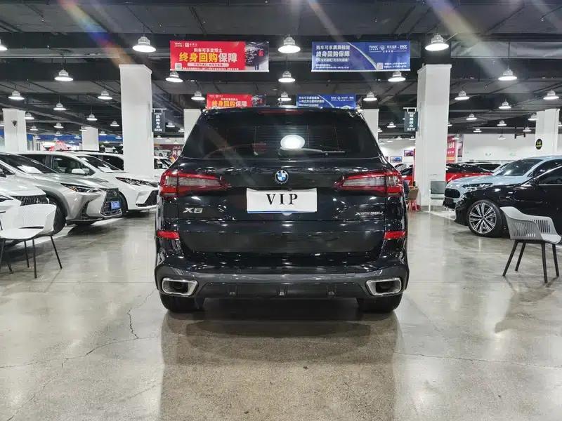 BMW X5 2022 xDrive 30Li Luxury M Sport Package — миниатюра 5