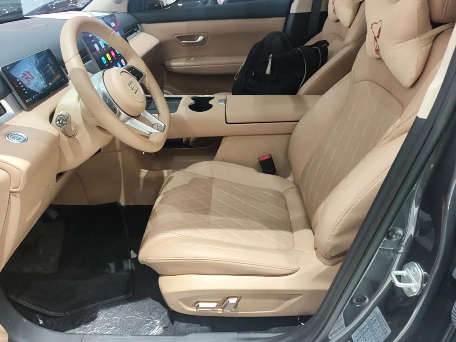Landian E5 PLUS 2026 Model, 165km Long-Range First-Adoption Edition Max, 5-seater — миниатюра 17
