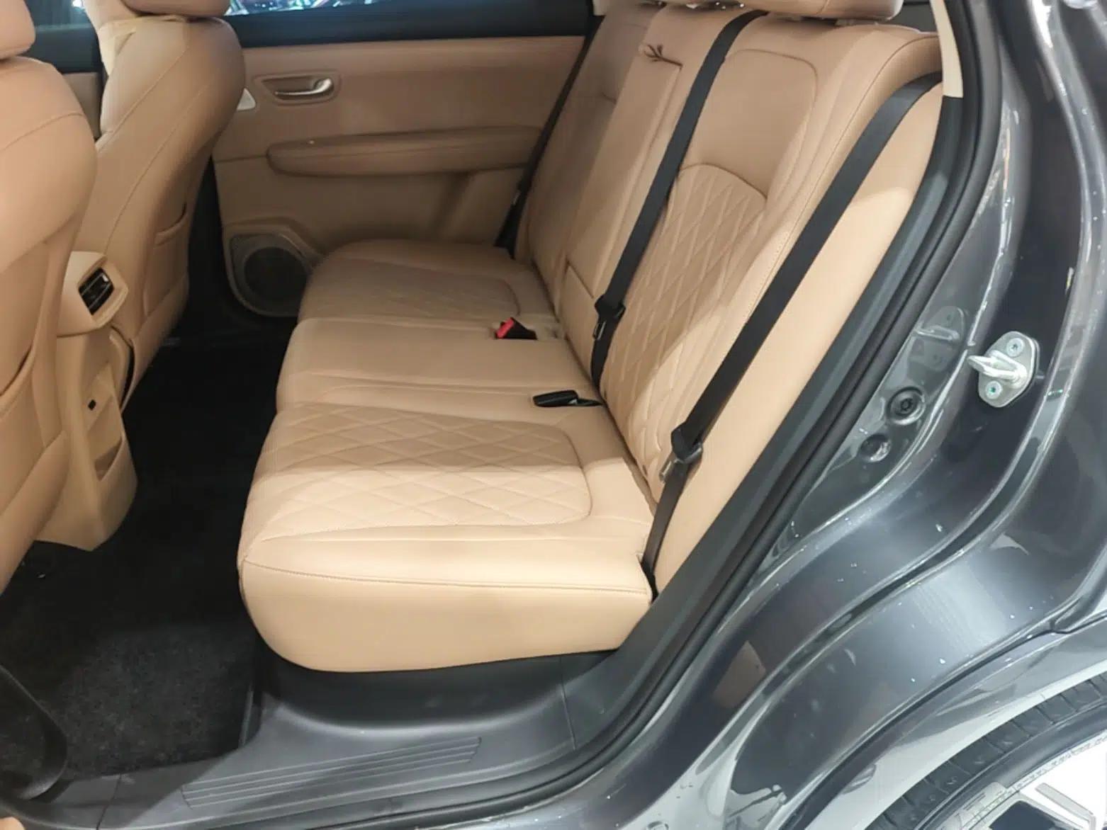 Landian E5 PLUS 2026 Model, 165km Long-Range First-Adoption Edition Max, 5-seater — миниатюра 20