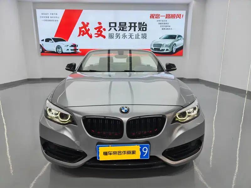 2019 BMW 2 Series (Imported) 225i Convertible Coupe Sport Design Package — миниатюра 2
