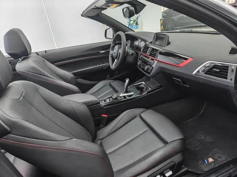2019 BMW 2 Series (Imported) 225i Convertible Coupe Sport Design Package — миниатюра 10