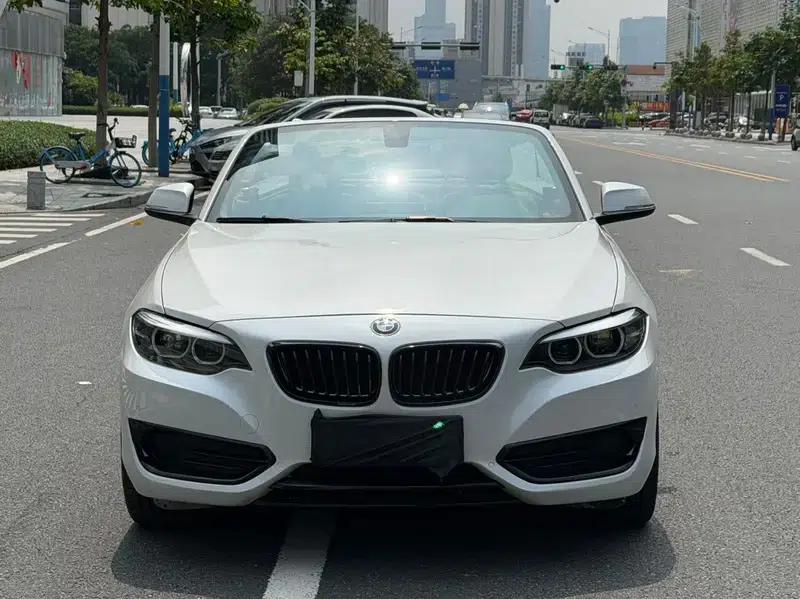 2019 BMW 2 Series (Imported) 225i Convertible Coupe Sport Design Package — миниатюра 2