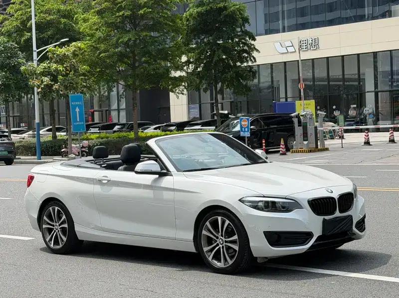 2019 BMW 2 Series (Imported) 225i Convertible Coupe Sport Design Package — миниатюра 3