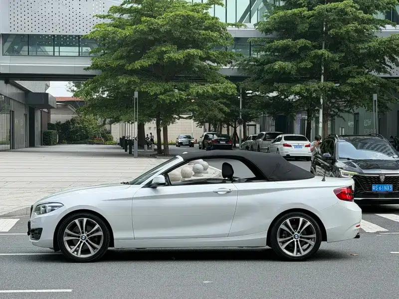 2019 BMW 2 Series (Imported) 225i Convertible Coupe Sport Design Package — миниатюра 4