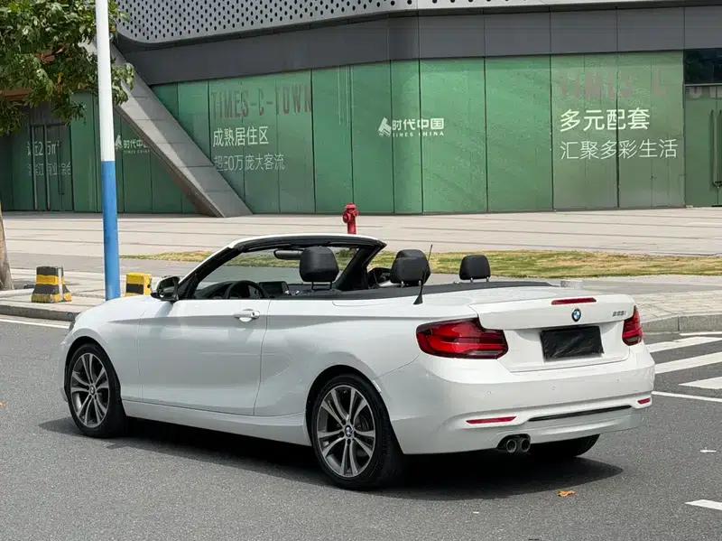 2019 BMW 2 Series (Imported) 225i Convertible Coupe Sport Design Package — миниатюра 5