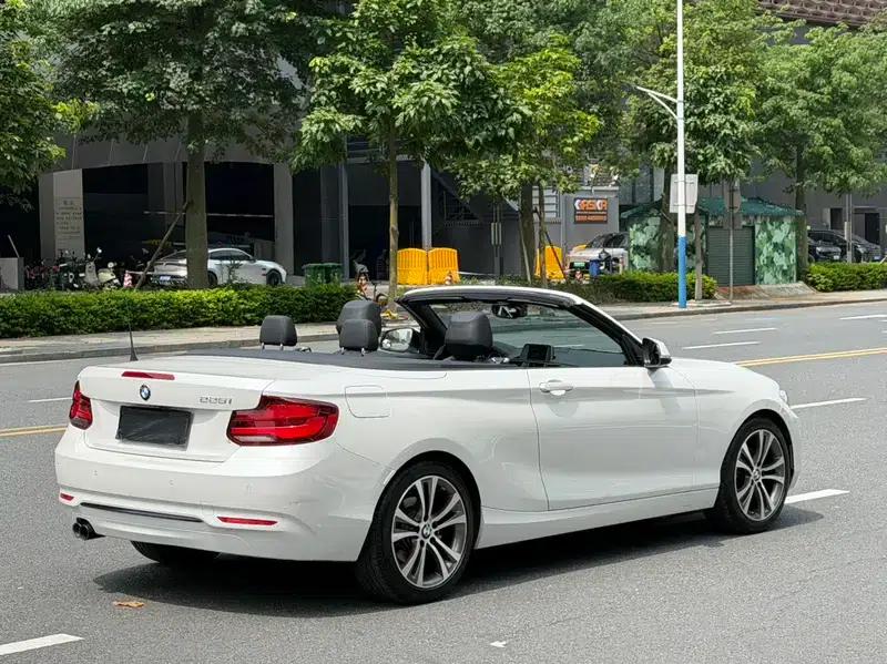 2019 BMW 2 Series (Imported) 225i Convertible Coupe Sport Design Package — миниатюра 7