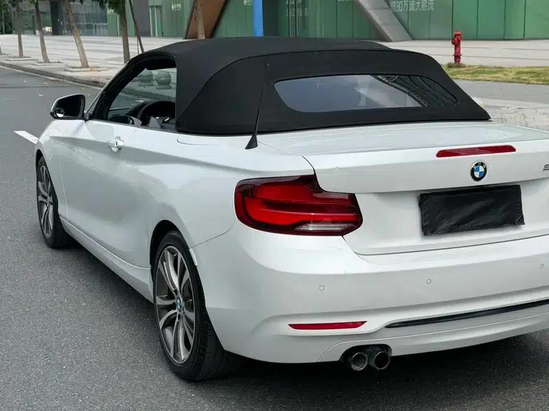 2019 BMW 2 Series (Imported) 225i Convertible Coupe Sport Design Package — миниатюра 10