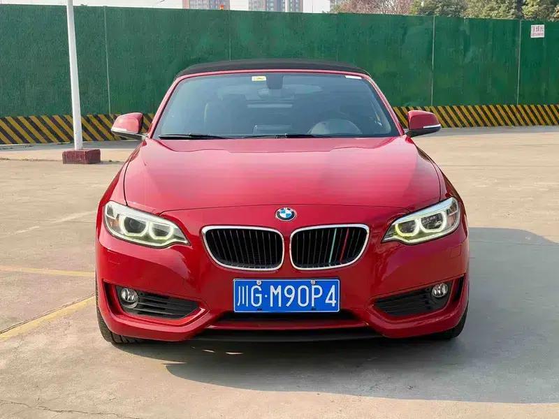 2015 BMW 2 Series (Imported) 218i Convertible Coupe — миниатюра 2