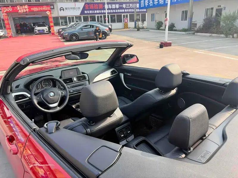 2015 BMW 2 Series (Imported) 218i Convertible Coupe — миниатюра 6