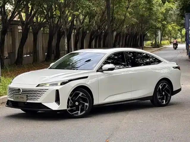 Yida 2023 Blue Whale NE 1.5T GDI DCT Flagship Edition