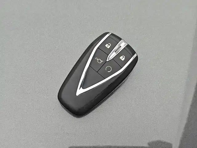 Yida 2023 Blue Whale NE 1.5T GDI DCT Flagship Edition — миниатюра 7