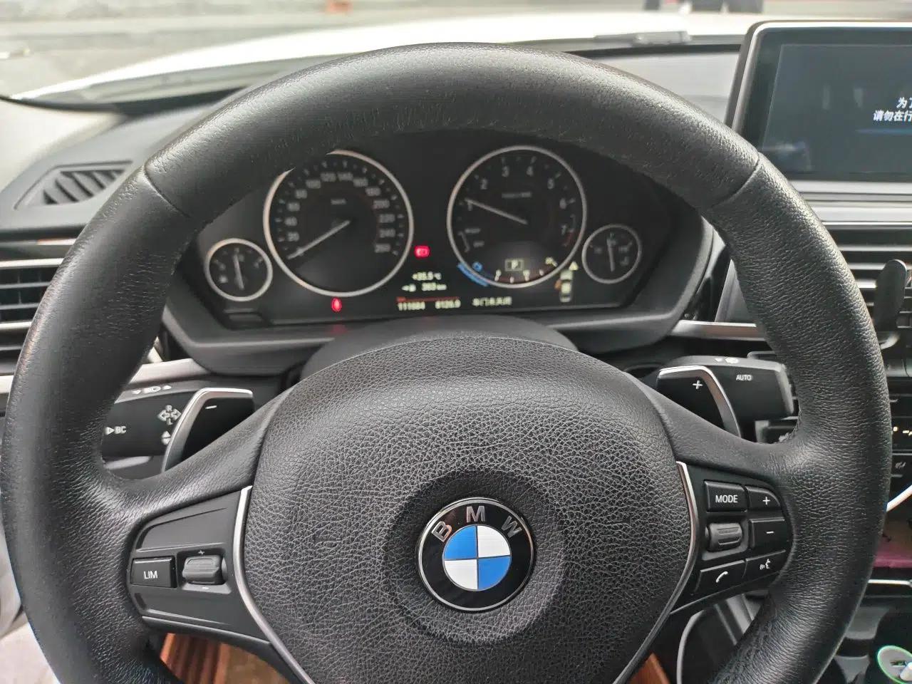 BMW 3 Series 2017 320Li M Sport Edition — миниатюра 11