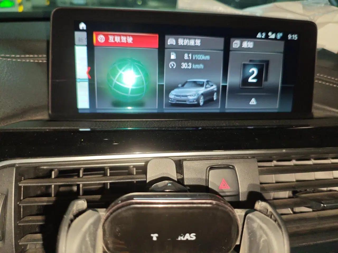 BMW 3 Series 2019 320Li M Sport Package — миниатюра 13