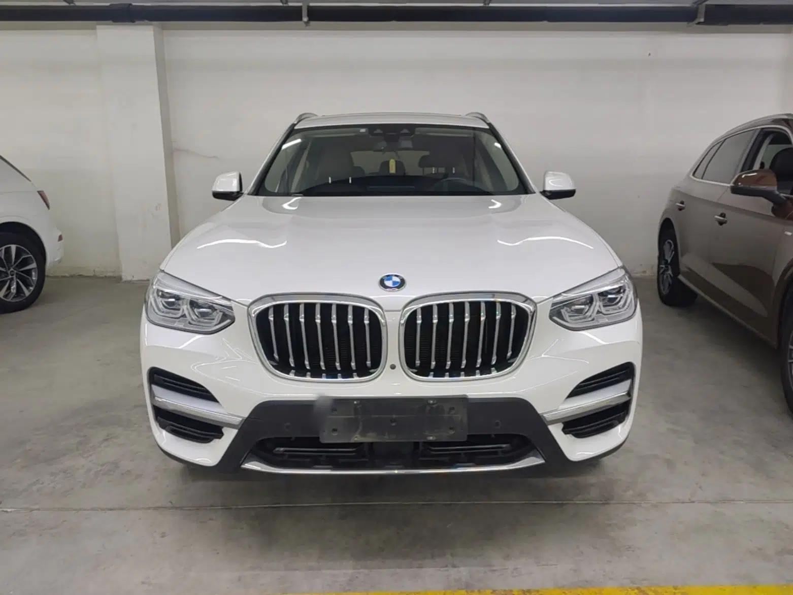 BMW X3 2019 xDrive25i Luxury Package — миниатюра 2