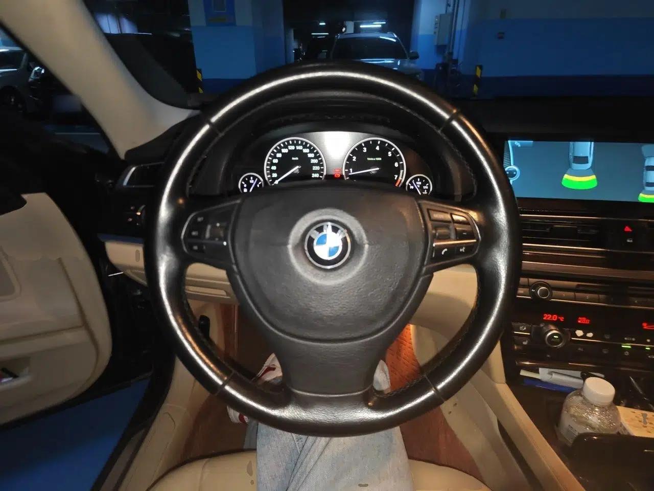 BMW 7 Series 2009 730Li Leading Model — миниатюра 10