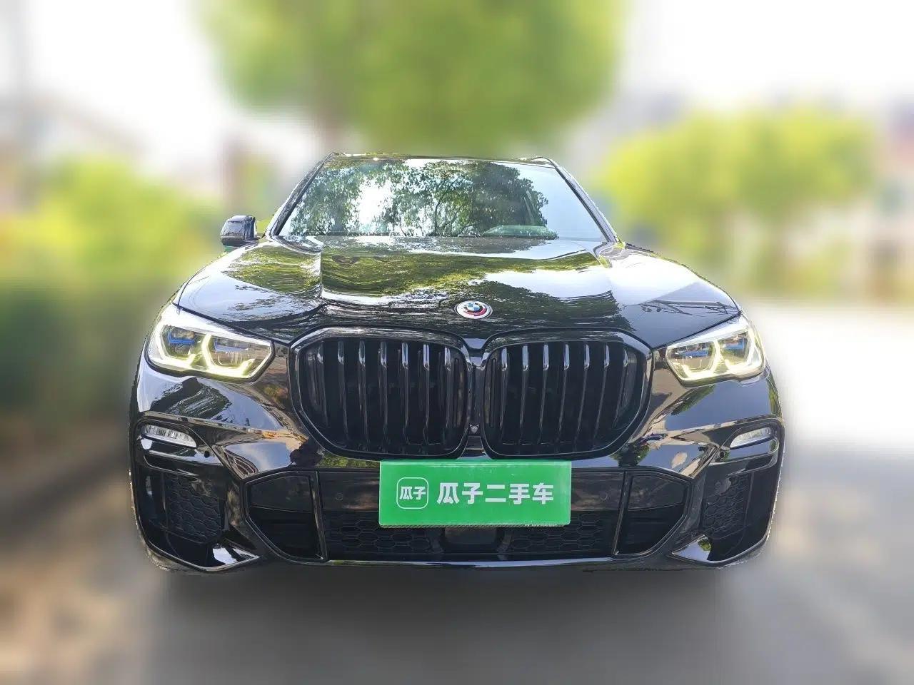 BMW X5 2020 xDrive40i Luxury Model with M Sport Package — миниатюра 2