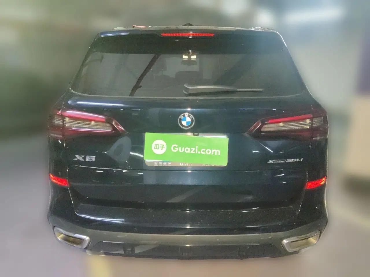 BMW X5 2022 Restyled xDrive 30Li Luxury Version M Sport Package — миниатюра 5