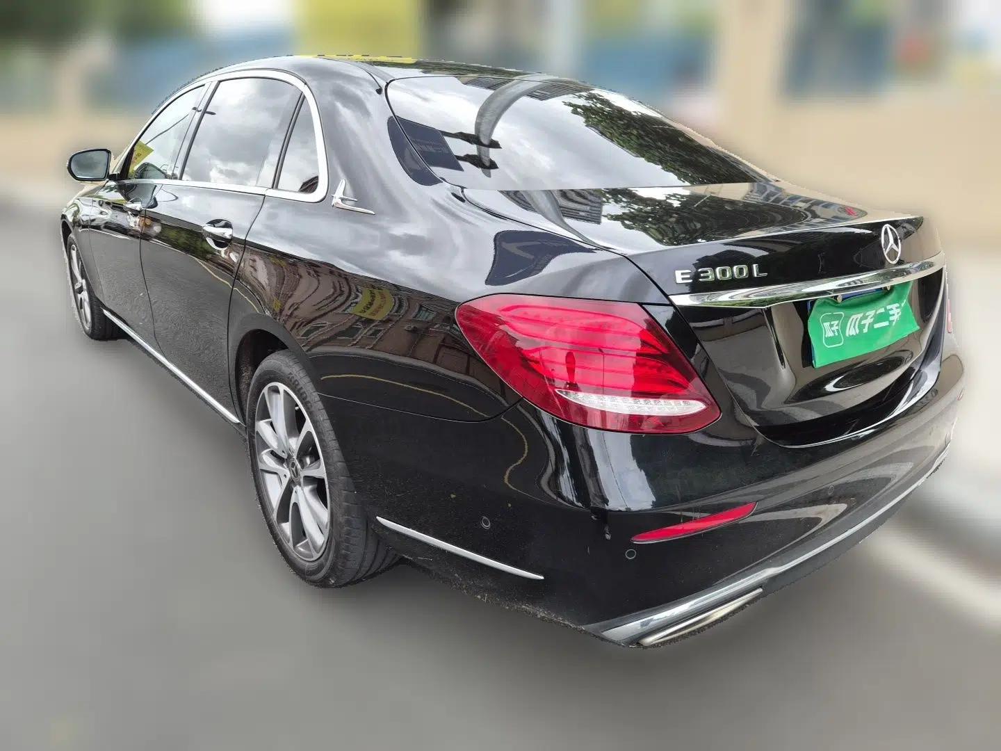 Mercedes-Benz E-Class 2019 E 300 L Luxury Model — миниатюра 4