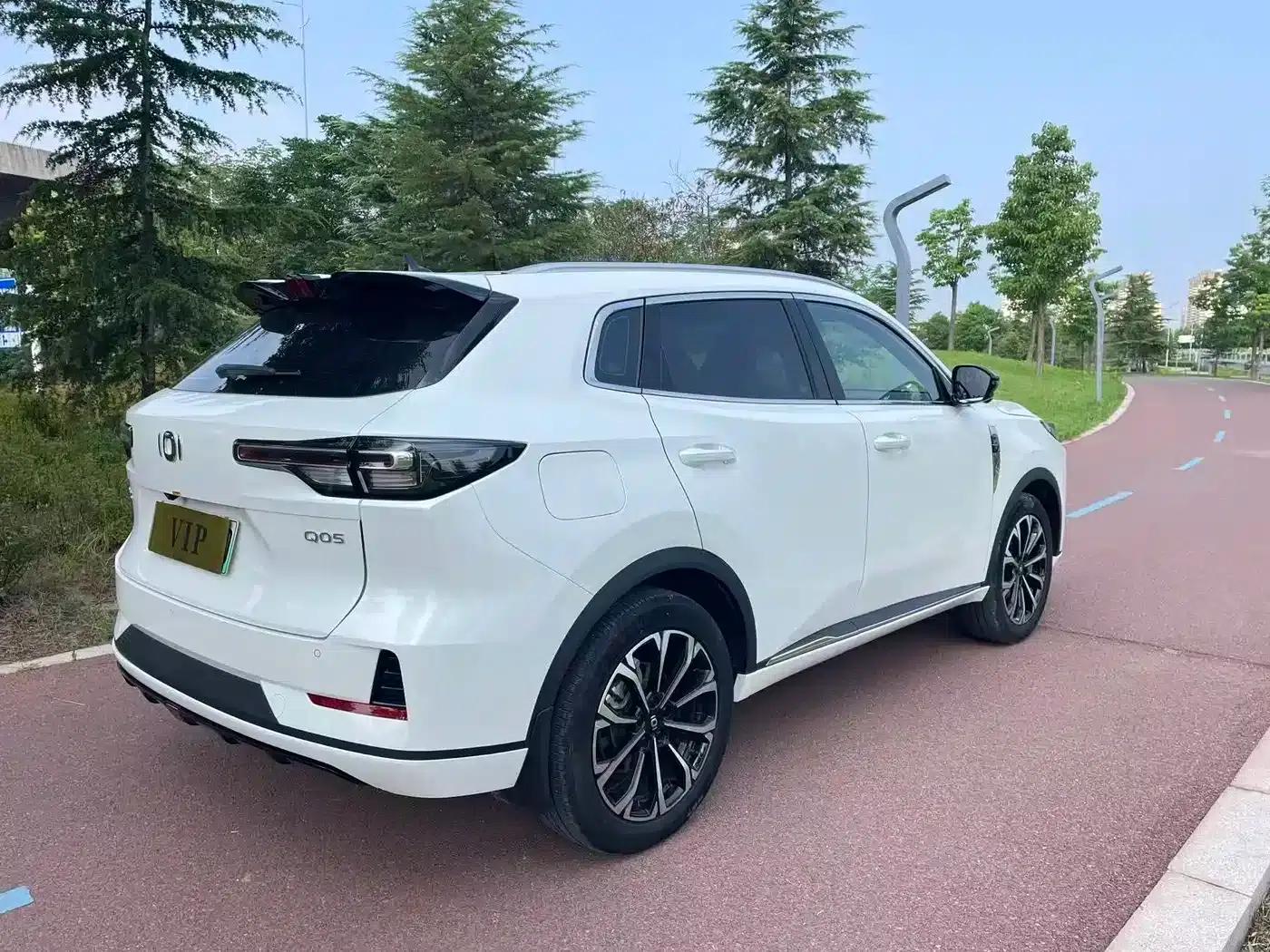 Changan Qiyuan Q05 Classic 2025 Model - Truly Delicious Edition 125 Premium — миниатюра 7