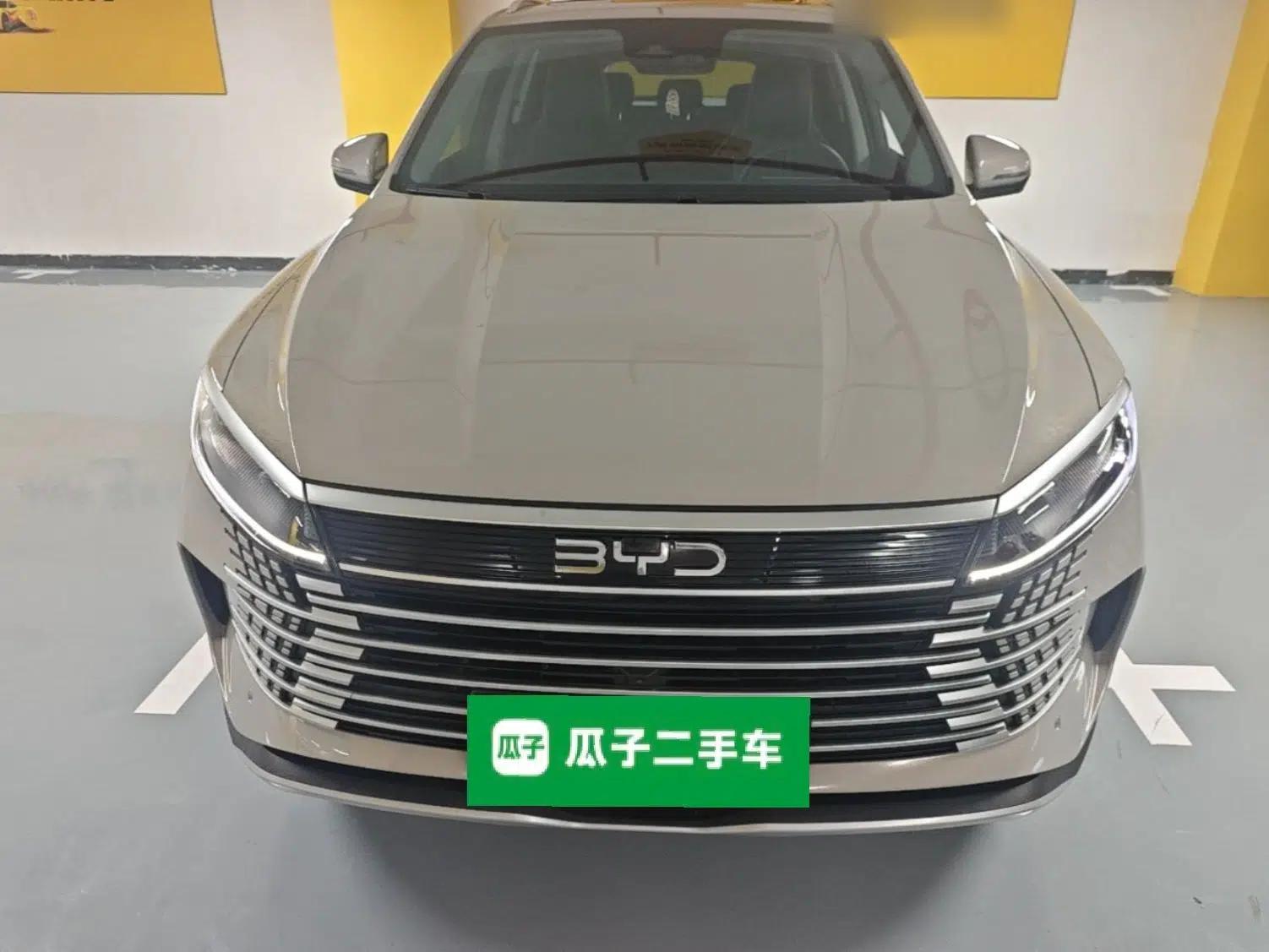 BYD Sealion 05 DM-i 2025 DM-i 115KM Flagship Model — миниатюра 2
