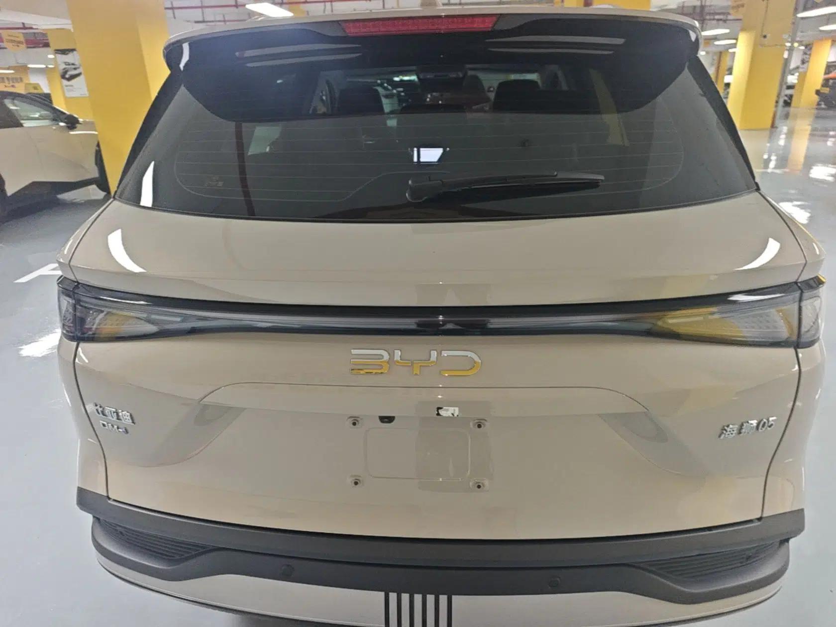 BYD Sealion 05 DM-i 2025 DM-i 115KM Flagship Model — миниатюра 5