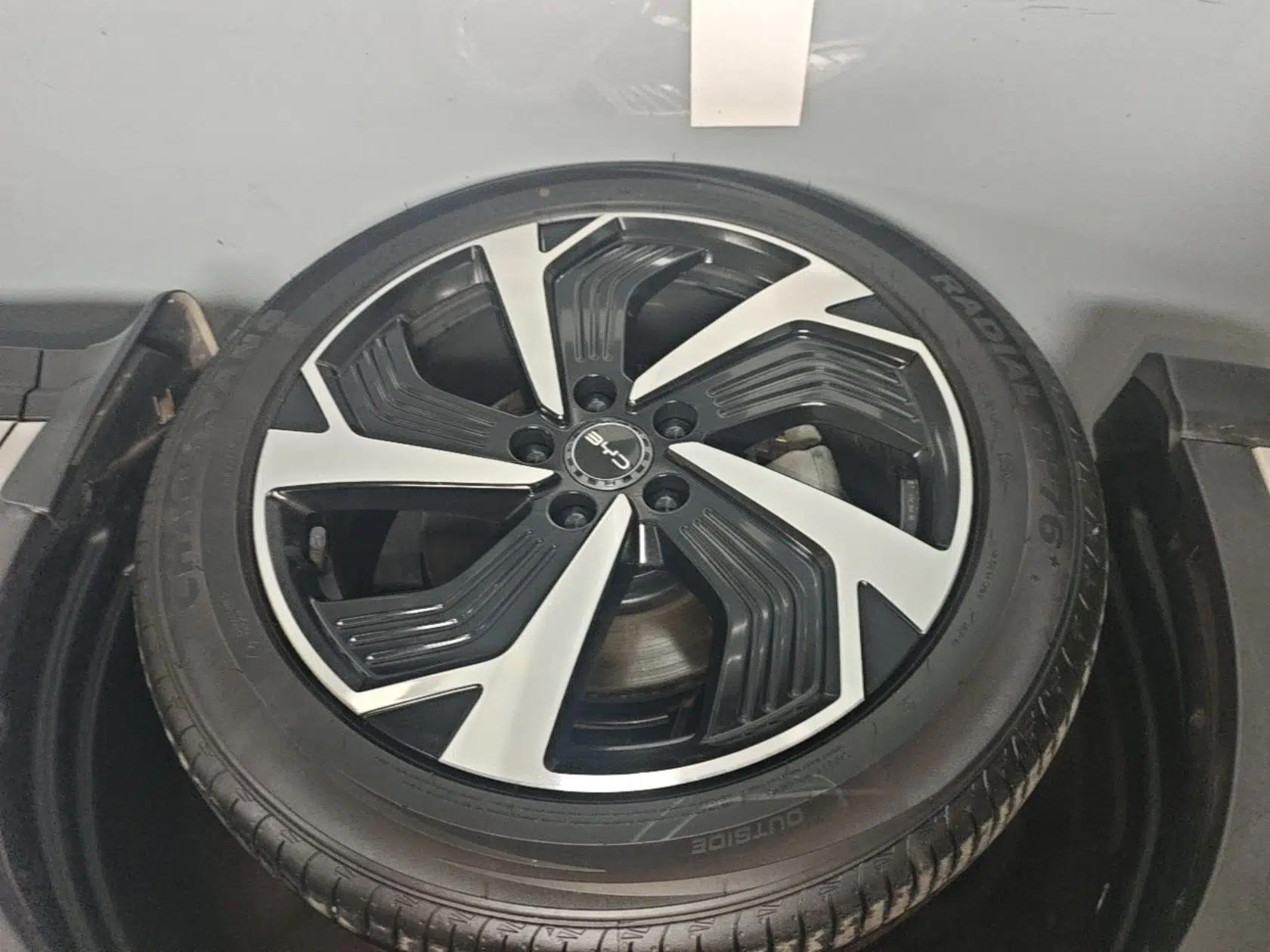 BYD Sealion 05 DM-i 2025 DM-i 115KM Flagship Model — миниатюра 10