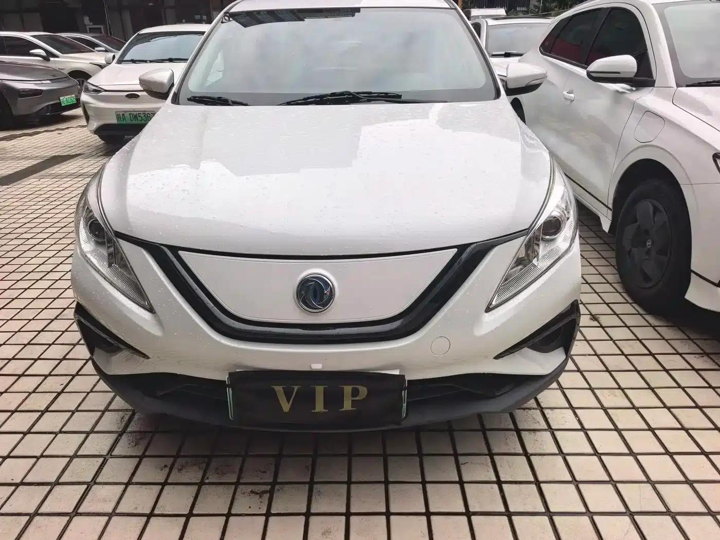 Fengxing S50EV 2020 Operational Model — миниатюра 2