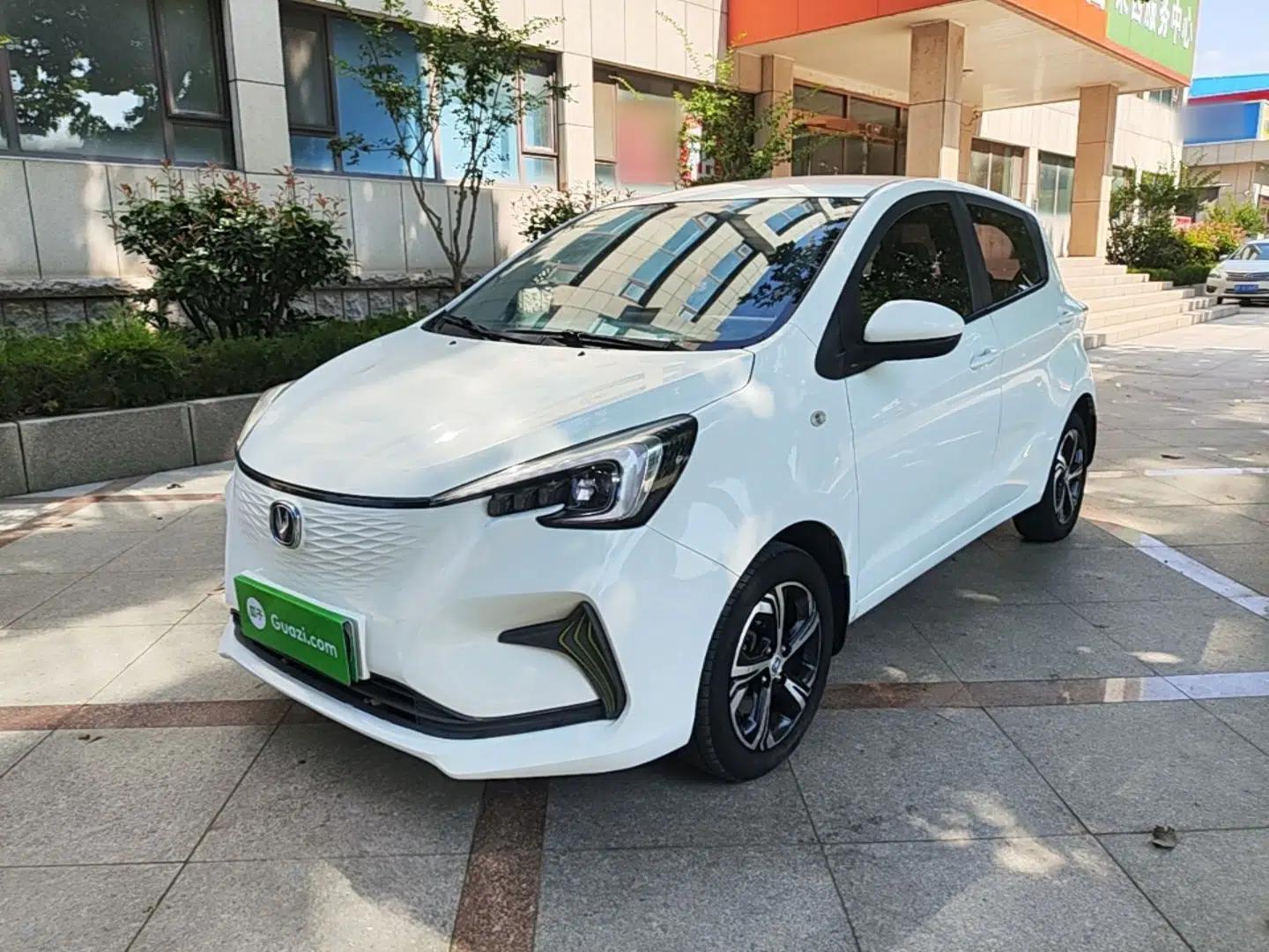 CHANGAN Benni E-Star 2020 Heartbeat Edition NMC Lithium — миниатюра 1