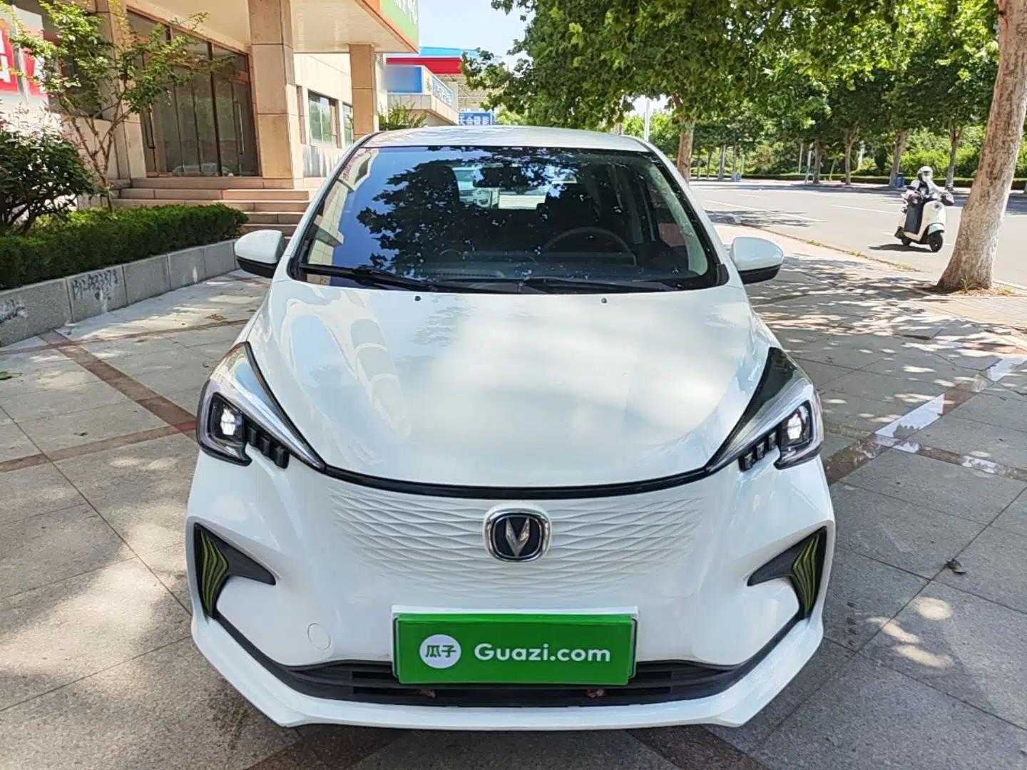 CHANGAN Benni E-Star 2020 Heartbeat Edition NMC Lithium — миниатюра 2