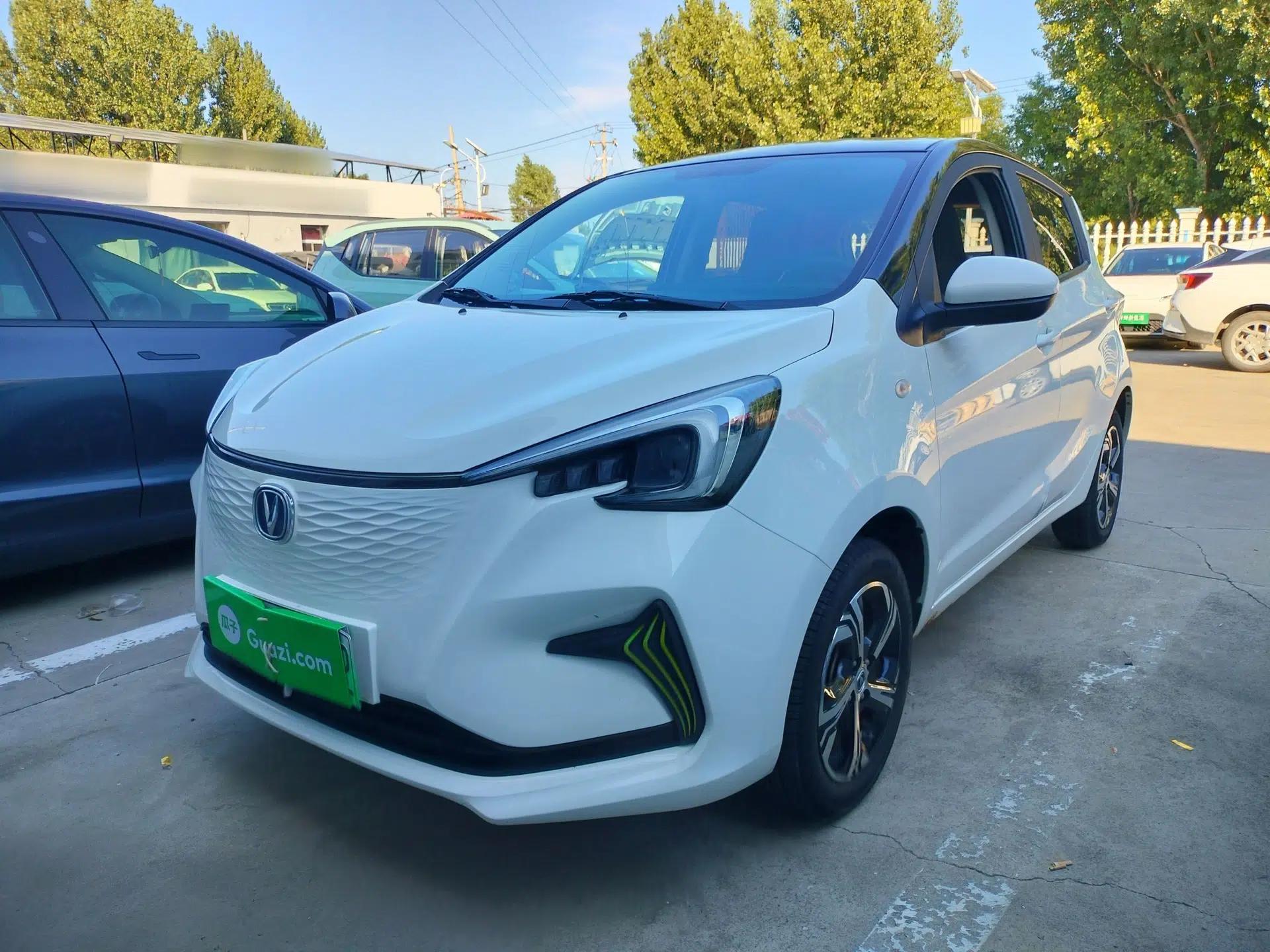 CHANGAN Benni E-Star 2020 Heart Edition Lithium Iron Phosphate (31.95 kWh) — миниатюра 1