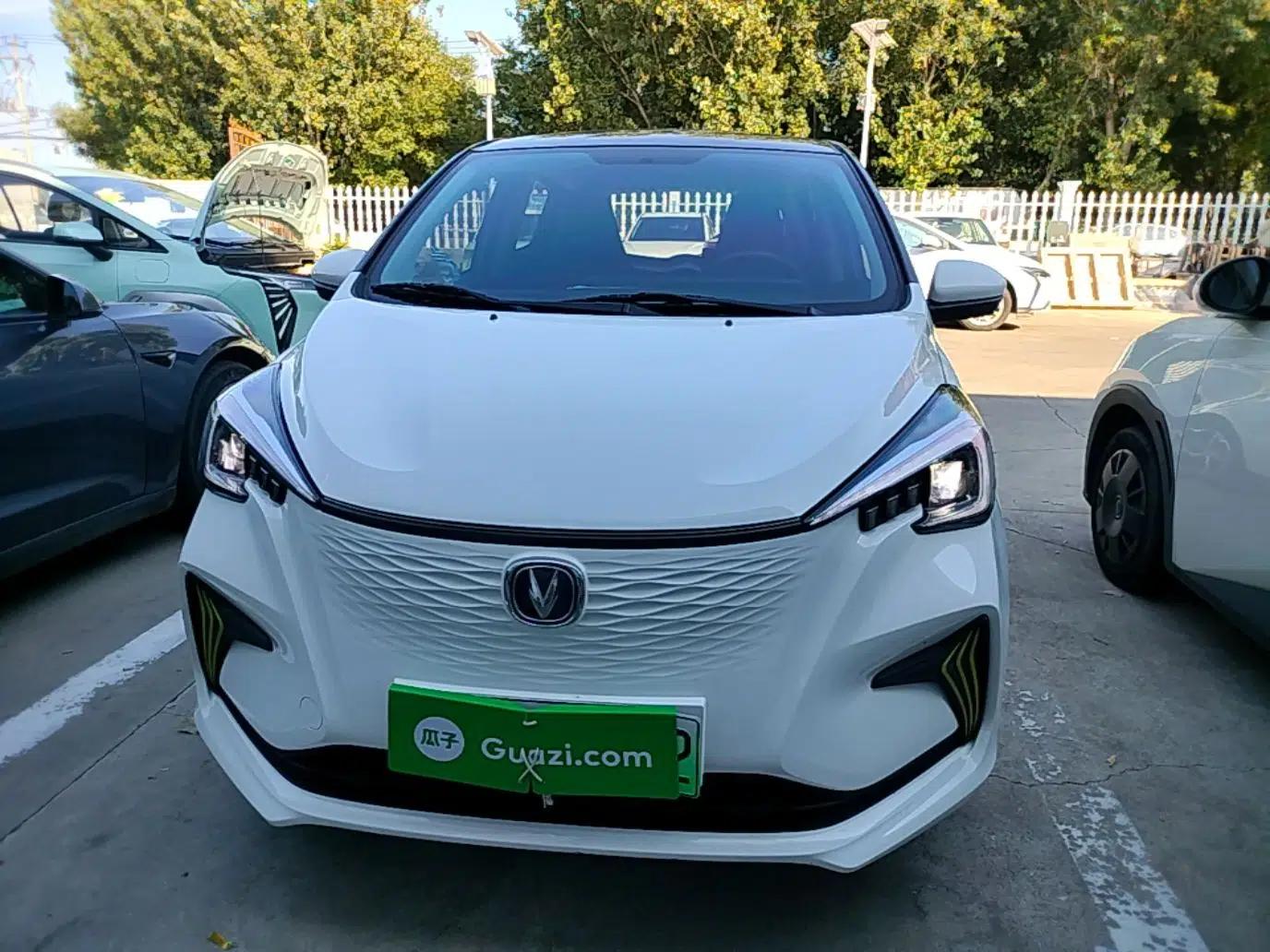 CHANGAN Benni E-Star 2020 Heart Edition Lithium Iron Phosphate (31.95 kWh) — миниатюра 2