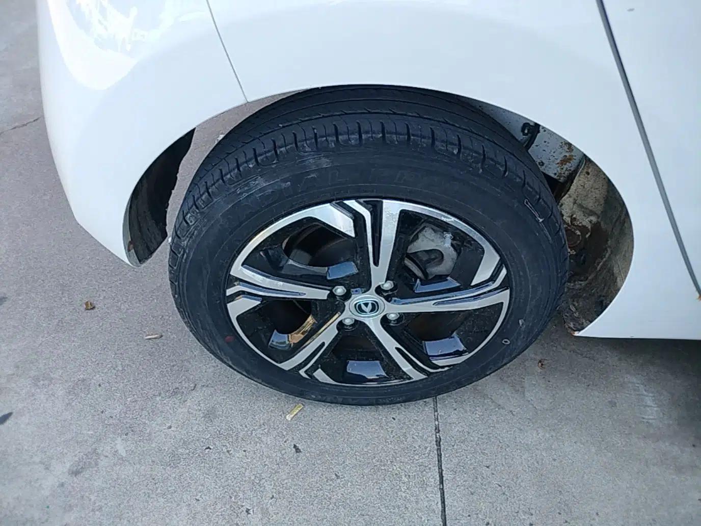 CHANGAN Benni E-Star 2020 Heart Edition Lithium Iron Phosphate (31.95 kWh) — миниатюра 11