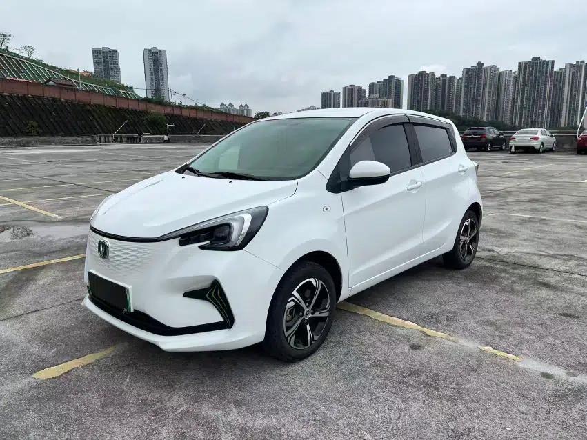CHANGAN Benni E-Star 2022 Qingxin Edition Colorful Model Lithium Iron Phosphate — миниатюра 1