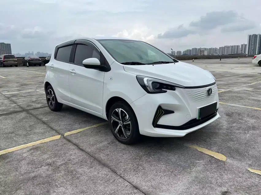 CHANGAN Benni E-Star 2022 Qingxin Edition Colorful Model Lithium Iron Phosphate — миниатюра 17