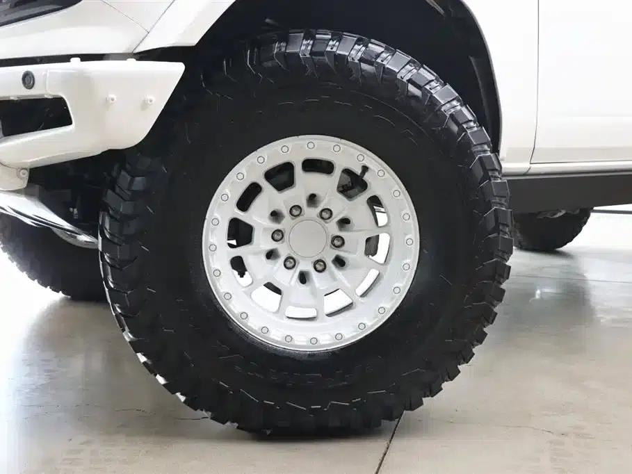 Ford Spectacular 2024 2.3T Wasteland — миниатюра 25
