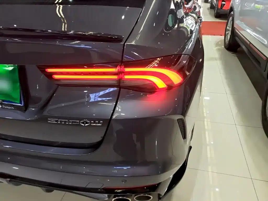 Shadow Leopard 2023 270T DCT J15 Edition — миниатюра 8