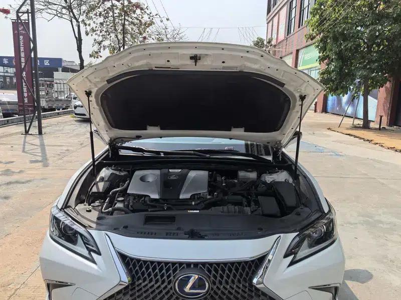 Lexus ES 2020 300h Premium Edition (China V Emission Standard) — миниатюра 8