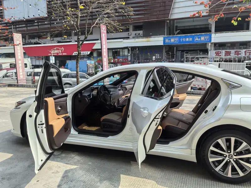 Lexus ES 2020 300h Premium Edition (China V Emission Standard) — миниатюра 10