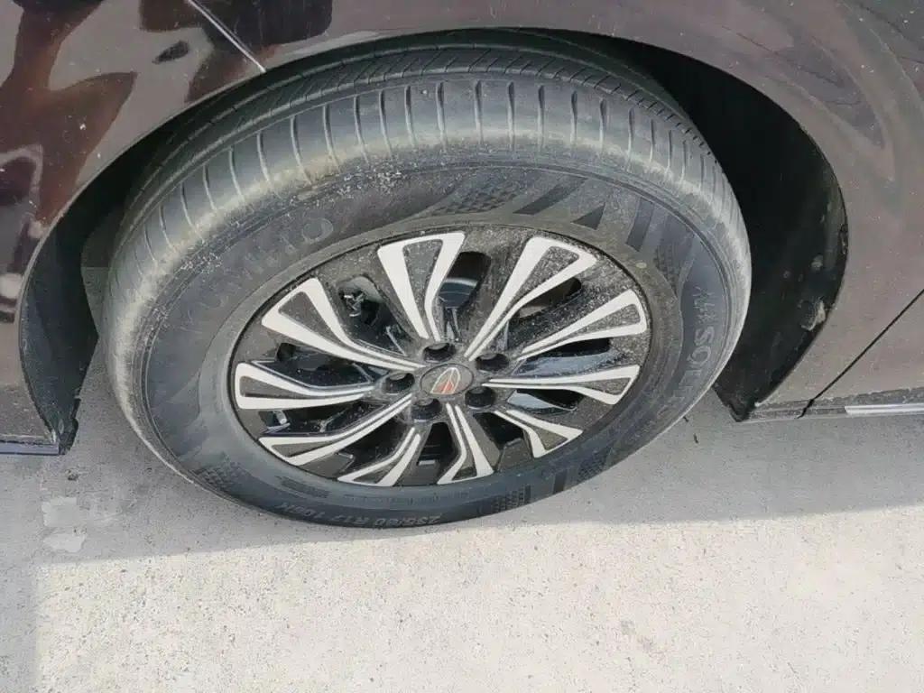Hongqi HQ9 PHEV 2024 2.0T AWD Business Edition — миниатюра 23