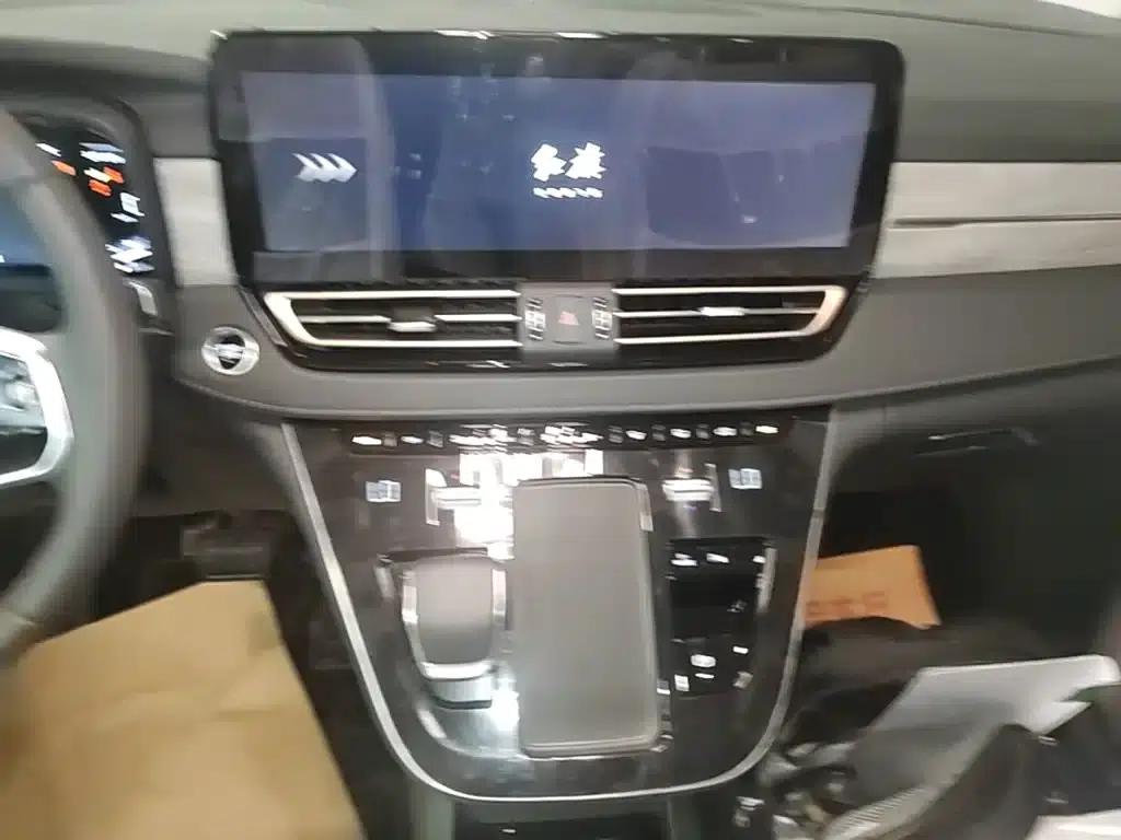 Hongqi HQ9 PHEV 2024 2.0T AWD Business Edition — миниатюра 13