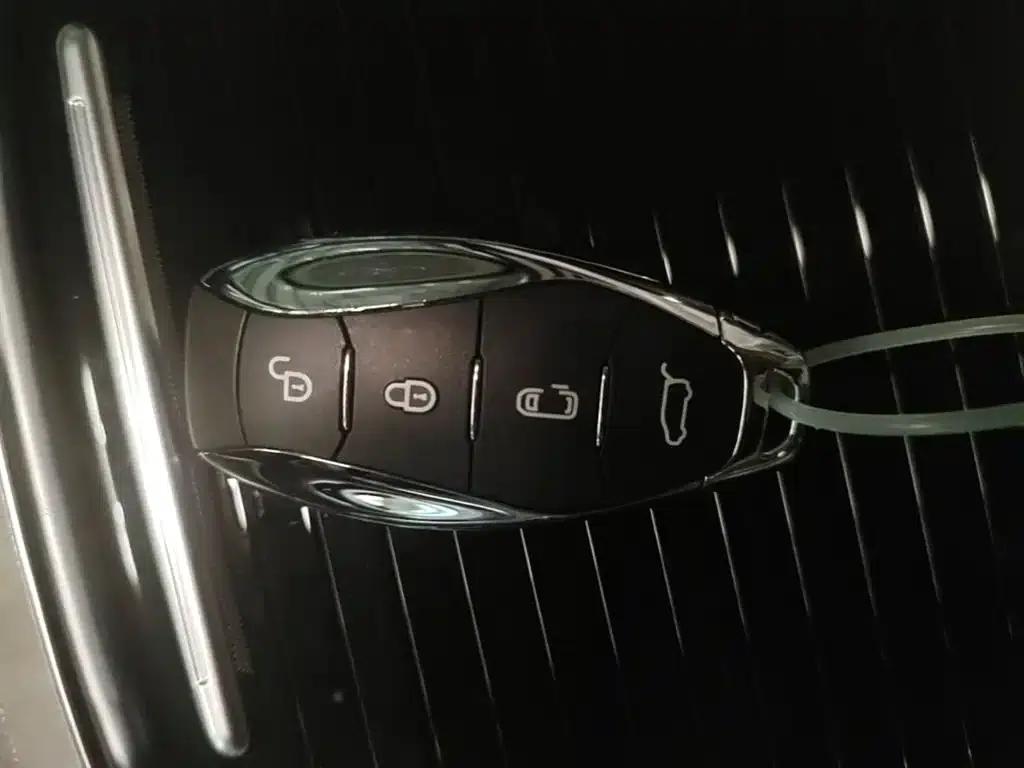 Hongqi HQ9 PHEV 2024 2.0T AWD Business Edition — миниатюра 9