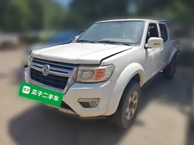 Dongfeng Ruichi 2018 2.4L Gasoline 4x4 Standard Version ZG24