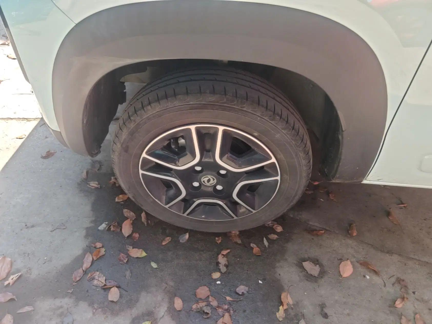 Dongfeng NAMMI BOX 2022 Revised Light Wind Edition 201 km Standard Version — миниатюра 10