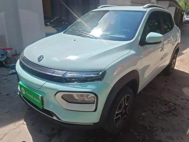Dongfeng NAMMI BOX 2022 Revised Light Wind Edition 201 km Standard Version