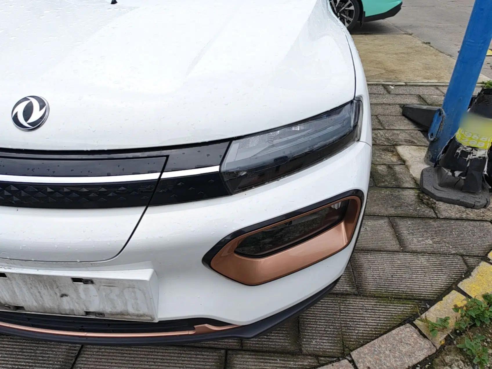 Dongfeng NAMMI BOX 2022 Revised Light Wind Edition 201 km Standard Version — миниатюра 8