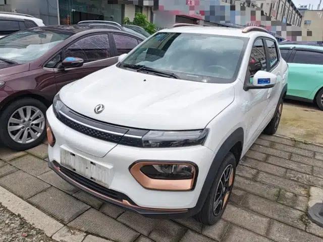 Dongfeng NAMMI BOX 2022 Revised Light Wind Edition 201 km Standard Version