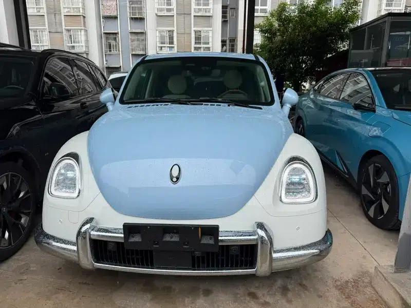 Euler Ballet Cat 2023 500km Premium Edition — миниатюра 2