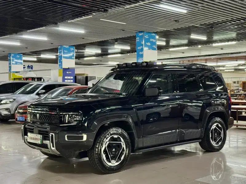 Deep Blue G318 2025 Worry-Free Crossing Edition 4WD Secret Realm Edition — миниатюра 1
