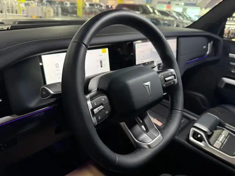 Deep Blue G318 2025 Worry-Free Crossing Edition 4WD Secret Realm Edition — миниатюра 11